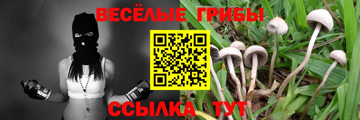Белореченск  Галлюциногенные грибы GOLDEN TEACHER  Вход с VPN  Галлюциногенные грибы Psilocybe 